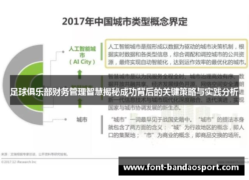 足球俱乐部财务管理智慧揭秘成功背后的关键策略与实践分析