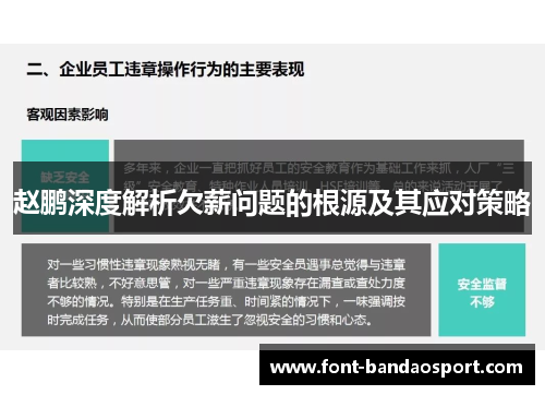赵鹏深度解析欠薪问题的根源及其应对策略